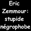 Eric Zemmour : négrophobe